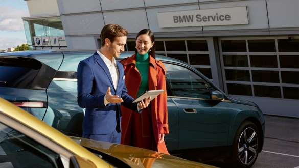 Celoten nabor storitev BMW Service